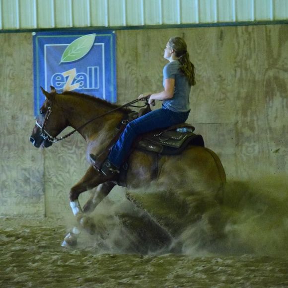 Meet your Posher, Piper - Picture 1 of 1